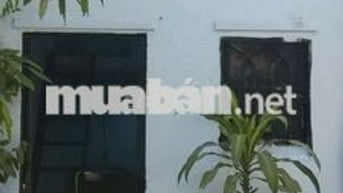 Cho thuê trọ studio, 2,5tr, mt gò vấp