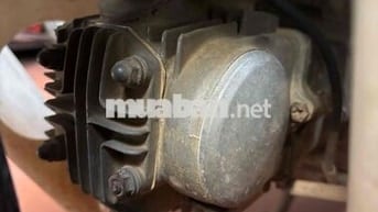 nhà thừa con cub zin chia lại