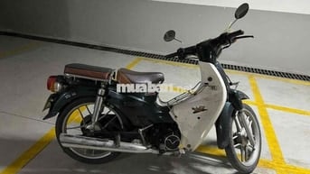 Honda Cub Cổ điển Xanh lá, trắng