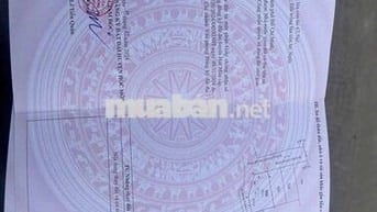 ĐẤT GÓC 2 MẶT TIỀN,DT:160m2, SỔ HỒNG RIÊNG, CHỈ 3.5 TỶ, ĐƯỜNG OTO 8M