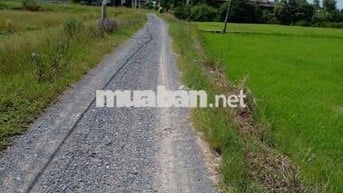 Định cư_bán Rẻ đất nhà có được kv Sinh thái An nhàn HƯNG LONG H.BC HCM