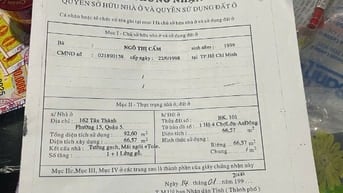 Bán nhà nằm mặt tiền kinh doanh Tân Thành, phường Chợ Lớn, TP.HCM