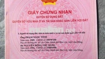 BÁN LÔ MẶT  TIỀN BIỆT THỰ LỮ GIA
