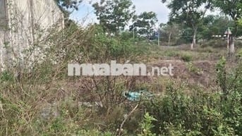 Bán lô đất đẹp Hòa Hải Ngũ Hành Sơn Đường 7m.5