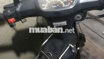 Dream lùn thái biển 4 số