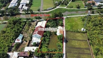 Đất đẹp giá rẻ mtien rạch cây xanh