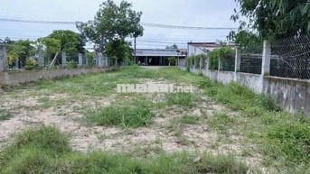 🔥 Bán đất đường nhánh Hồ Văn Tắng – 5x25m – SHR – Giá 1 tỷ 550 triệu