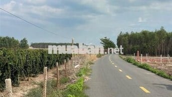 Bán 10m mặt tiền đường trà cổ, cách KDL suối mơ 500m