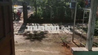 Cần bán nhà nguyên căn Thôn Thống Nhất