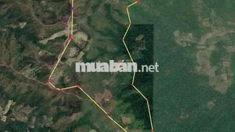 CẦN CHUYỂN NHƯỢNG DỰ ÁN 423,21 HA – TIỀM NĂNG LỚN – PHÁP LÝ ĐẦY ĐỦ – G