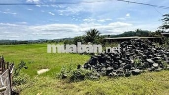 Cần tiền bán gấp lô đất mặt tiền tỉnh lộ 2