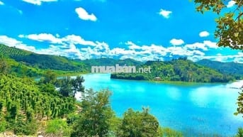 Chính chủ bán đất rẫy xã  Ea Bông  - Krong Ana _ Đăk Lăk