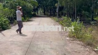 Bán gấp nhanh lô đất trường tiểu học Tân Hiệp 338m2 100m2 thổ cư 530tr