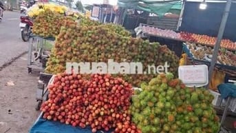 Bán nhà đất mặt tiền gần Chợ Cái Tắc, Cần Thơ