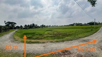 Công ty Đấu giá hợp danh Lam Sơn Sài Gòn THÔNG BÁO ĐẤU GIÁ TÀI SẢN