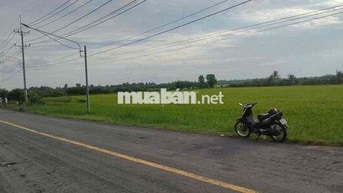 Đất chính chủ cần bán MT DT872B, 1ha có 2000 tc, chỉ hơn 9 tỉ