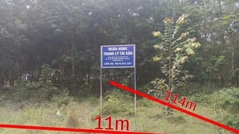 Công ty Đấu giá hợp danh Lam Sơn Sài Gòn THÔNG BÁO ĐẤU GIÁ TÀI SẢN