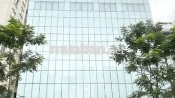 Chính chủ cho thuê nhà mặt tiền đường Mạc Đỉnh Chi Quận 1