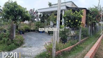 Nhà Đất 10 x 60 full thổ chính chủ