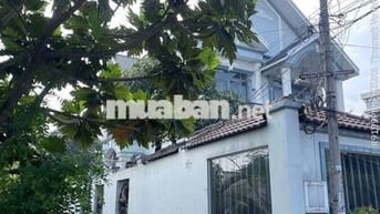 Chính chủ cần bán đất trông cây lâu năm Bình Chánh, HCM, DT 1.062m2