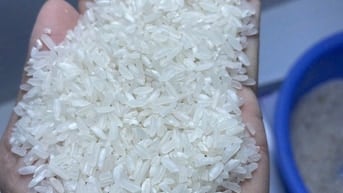 Gạo Tâm Thành Phát - Sa Mơ (Sóc Miên) - Tấm thơm