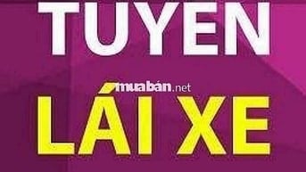 Cần tuyển 5 tài xế xe tải + 10 công nhân theo xe tải vận chuyển nhà