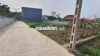 Bán đất Chương Dương vin olympic