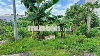 Đất 100m2 ngang 5m MT trục thôn Bạch Mai, Đồng Thái 3,25 tỷ