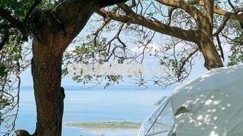 🌿CHỈ 995 TRIỆU/1100m² VƯỜN CỔ THỤ ĐẤT BAZAN, ÔM SUỐI - VIEW HỒ TRỊ AN