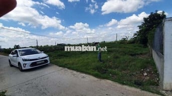 Bán đất long an ngay kcn hoà bình,cổng chào thủ thừa