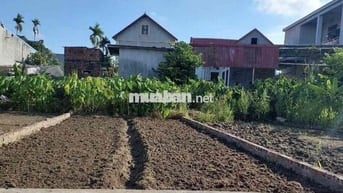 Đất 60m2 HXH 3,5m Văn Xá, Quốc Tuấn, An Dương 820 triệu