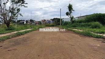 BÁN ĐẤT PHÚ HỘI ĐỨC TRỌNG LÂM ĐỒNG