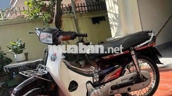 Dream việt máy chất