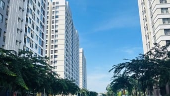 Cần thuê đất, trường làm giáo dục mầm non