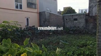 Cần bán đất ở Trang Quan , An Hải, Hải Phòng