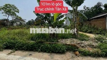 🔥 TÂN XÃ – HÒA LẠC / LÔ GÓC SÁT CNC – GIÁ ĐẸP - DÂN Ở ĐÔNG