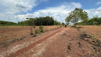 CÔNG TY ĐẤU GIÁ HỢP DANH MINH PHÁP THÔNG BÁO ĐẤU GIÁ TÀI SẢN