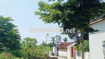 TÔI CẦN BÁN LÔ GÓC 61M FULL  ĐƯỜNG THÔNG TRỤC CHÍNH KINH DOANH ĐƯỢC