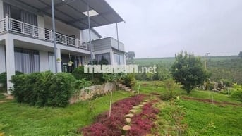 nhà biệt thự vườn 6.000m2 rất đẹp ven đà lạt