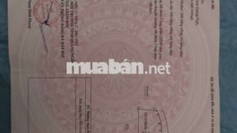 500m2 lô góc Hai mặt tiền phù hợp làm nhà yến