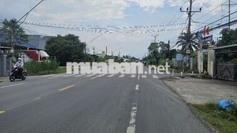 Cắt bán đất chính chủ trả nợ.Tiền Giang ,Gò Công Tây