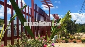 Đất thổ cư Lâm Đồng gần Sài Gòn giaa 3,95t