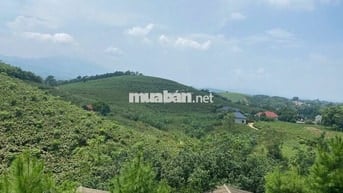 ĐẤT NGHỈ DƯỠNG LƯNG TỰA NÚI, VIEW THOÁNG, 2500M²