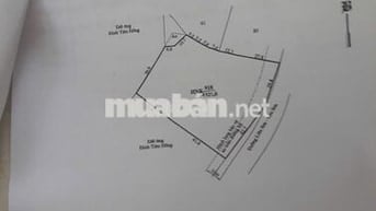 Đất sổ đỏ 4321m2 thôn Liên Sơn 2, xã Phước Vinh (Khánh Hòa)