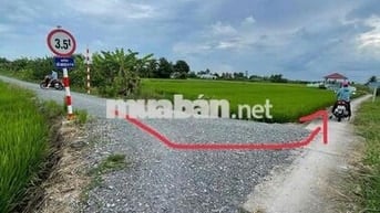 ĐẤT LÚA SỔ HỒNG RIÊNG TẠI GÒ CÔNG TÂY