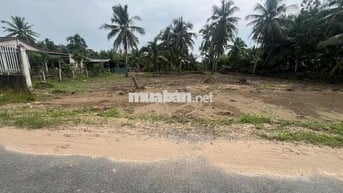 Đất nền 1011m2 cây lâu năm mặt tiền nhựa xã An Ngãi Trung, Ba Tri