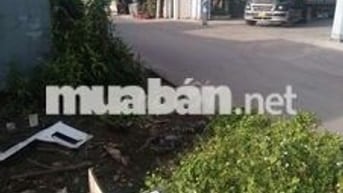 Cho thuê nhà mặt tiền đối diện Công Ty TĐF và gần nhiều Công Ty khác