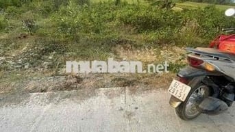 Đất nền 111m2 tại đường ĐT 838, Xã Mỹ Thạnh Bắc, Đức Huệ, Long An, giá