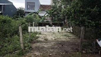 Cần bán đất khối 1 thị trấn núi thành