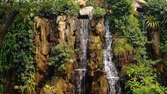 VIỆC LÀM CHO SINH VIÊN TÂN BÌNH - QUẬN 12 - GÒ VẤP PART/FULL TIME 